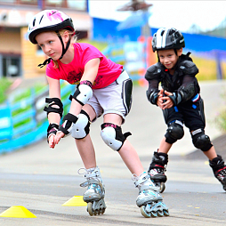 Роллер-школы